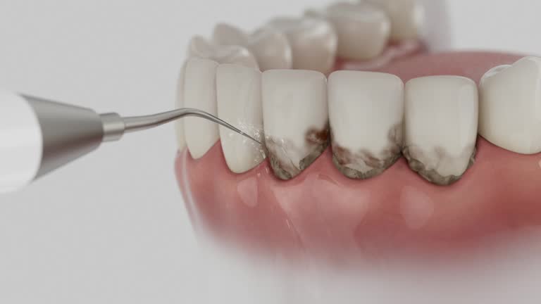 Reliable Dental contractor in Myersville, MD by Dentist Open Now